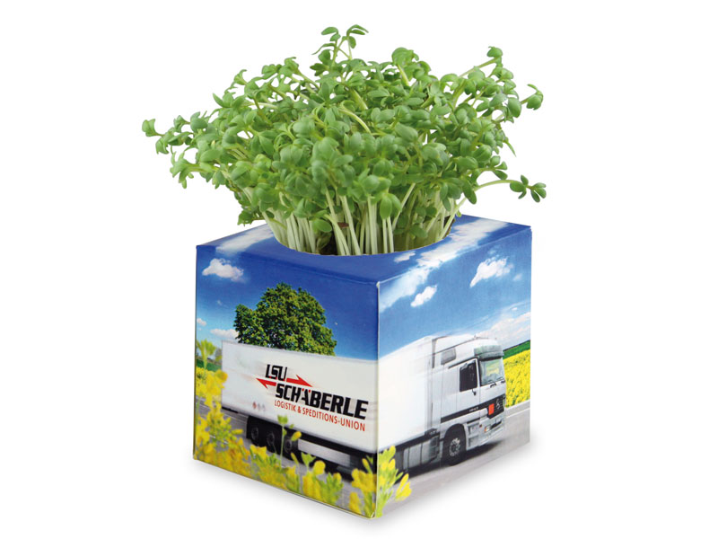 blumenkasten untersetzer 40 cm 2er Untersetzer 40x40 cm fr Pflanzkbel gro auen- Extra Robuster An   Sustania